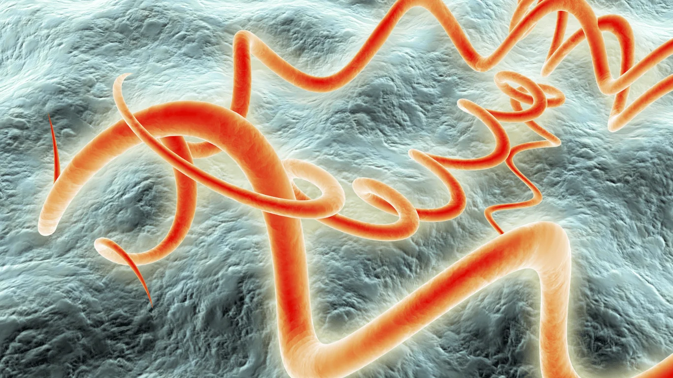 STI Treatment Descriptions | QuickCare 365 Virtual Care