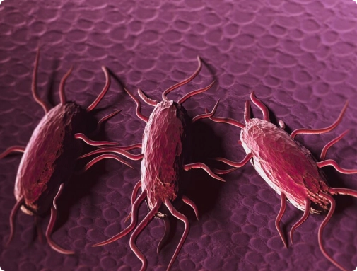 parasitic infection treatment telehealth service